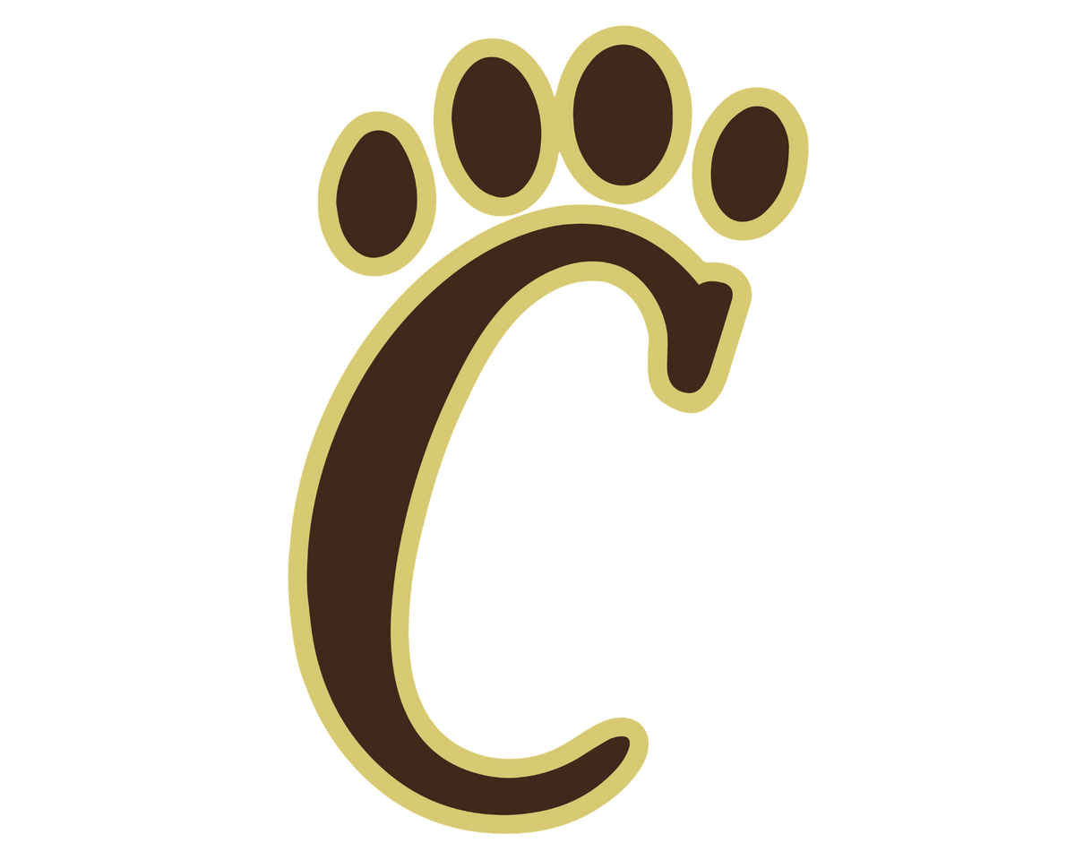 Lincoln Cougars